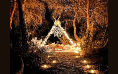 Por qué una pedida de mano en el bosque en Ibiza será la nueva tendencia en 2026